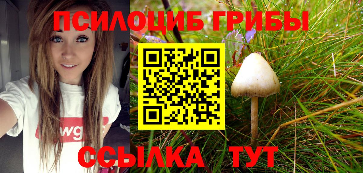 Галлюциногенные грибы Cubensis  Псилоцибиновые грибы мицелий  Канаш  Вход с VPN 