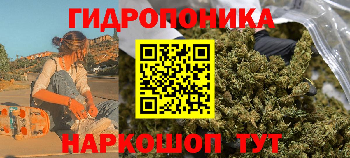 Канабис семена Канаш
